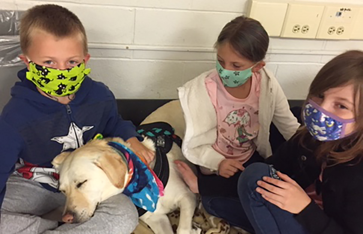 WaylandCohocton Central School